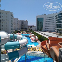 фото из отзыва ID 1864400