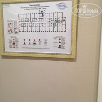 фото из отзыва ID 1864484