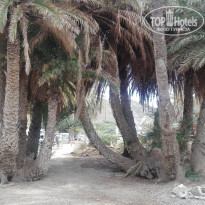 фото из отзыва ID 1864542