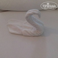 фото из отзыва ID 1864644