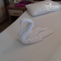 фото из отзыва ID 1864644