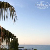 фото из отзыва ID 1864655