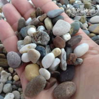 фото из отзыва ID 1864644