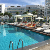 фото из отзыва ID 1864764