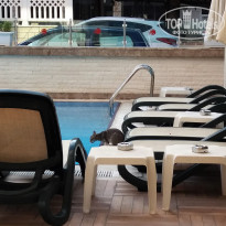 фото из отзыва ID 1863779