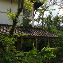 фото из отзыва ID 1864877