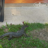 фото из отзыва ID 1864877