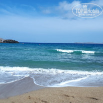 фото из отзыва ID 1865032