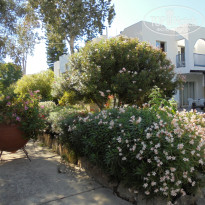 фото из отзыва ID 1865199