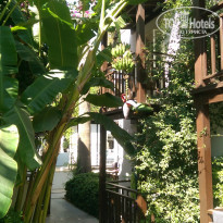 фото из отзыва ID 1865258