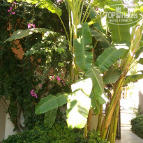 фото из отзыва ID 1865258