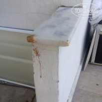 фото из отзыва ID 1865296