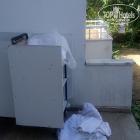 фото из отзыва ID 1865296