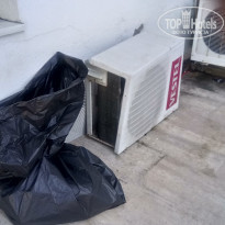 фото из отзыва ID 1865296