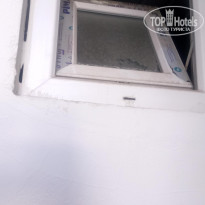 фото из отзыва ID 1865296