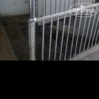 фото из отзыва ID 1865296