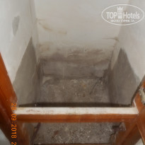 фото из отзыва ID 1865334