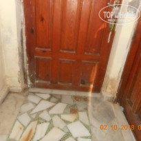 фото из отзыва ID 1865334