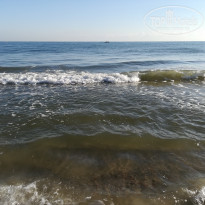 фото из отзыва ID 1865365