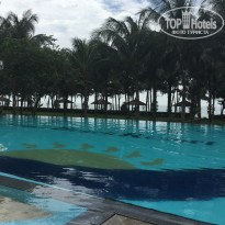 фото из отзыва ID 1865448