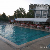 фото из отзыва ID 1865508