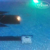 фото из отзыва ID 1865626