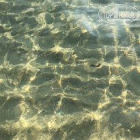 фото из отзыва ID 1865665