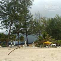 фото из отзыва ID 1865712