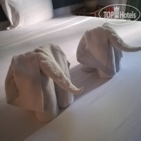 фото из отзыва ID 1865733