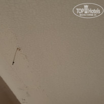 фото из отзыва ID 1865751