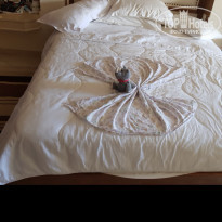 фото из отзыва ID 1865751