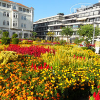 фото из отзыва ID 1863300