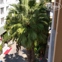 фото из отзыва ID 1866017