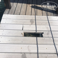 фото из отзыва ID 1866020