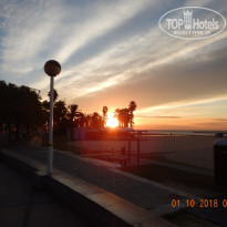 фото из отзыва ID 1866067