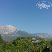 фото из отзыва ID 1866199