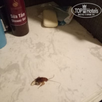 фото из отзыва ID 1866254