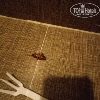 фото из отзыва ID 1866254