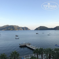 фото из отзыва ID 1866313