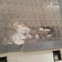 фото из отзыва ID 1866349