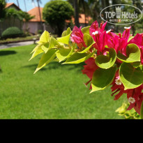 фото из отзыва ID 1866447