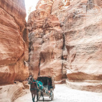 фото из отзыва ID 1866481