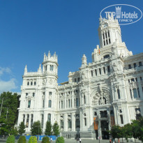 фото из отзыва ID 1863167