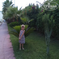 фото из отзыва ID 1866748