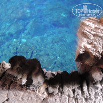 фото из отзыва ID 1866838