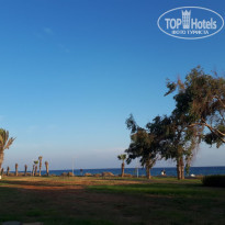 фото из отзыва ID 1866979