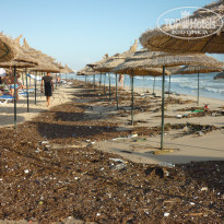 фото из отзыва ID 1867039