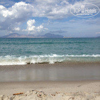 фото из отзыва ID 1867115