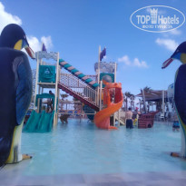 фото из отзыва ID 1867119