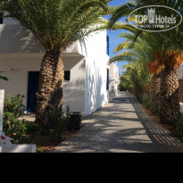 фото из отзыва ID 1867119